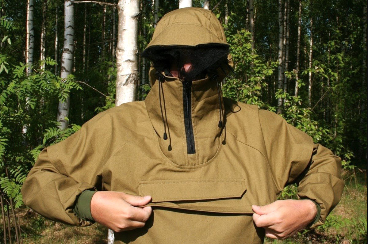 Entsefalitka