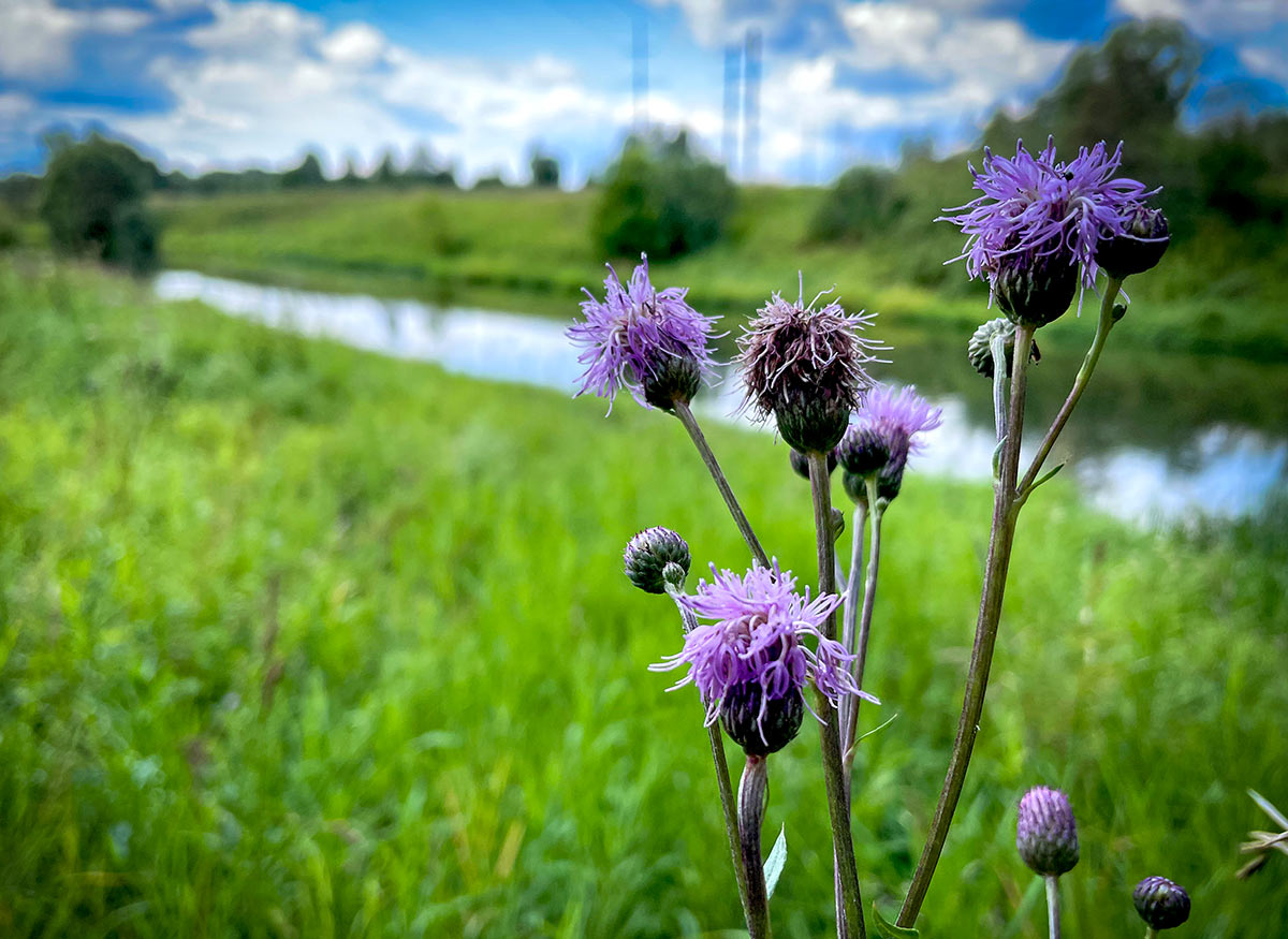 06
