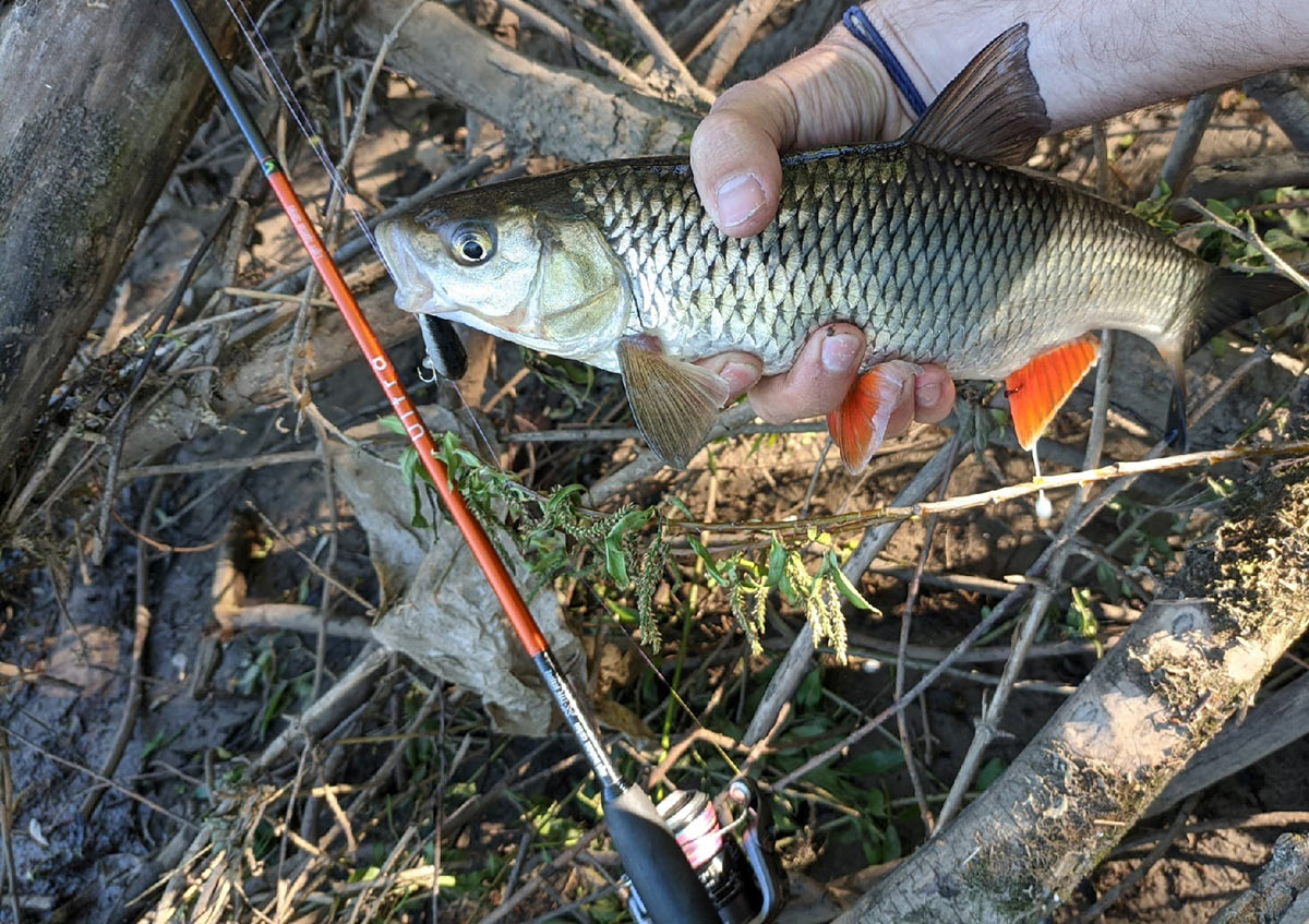 ultra 4