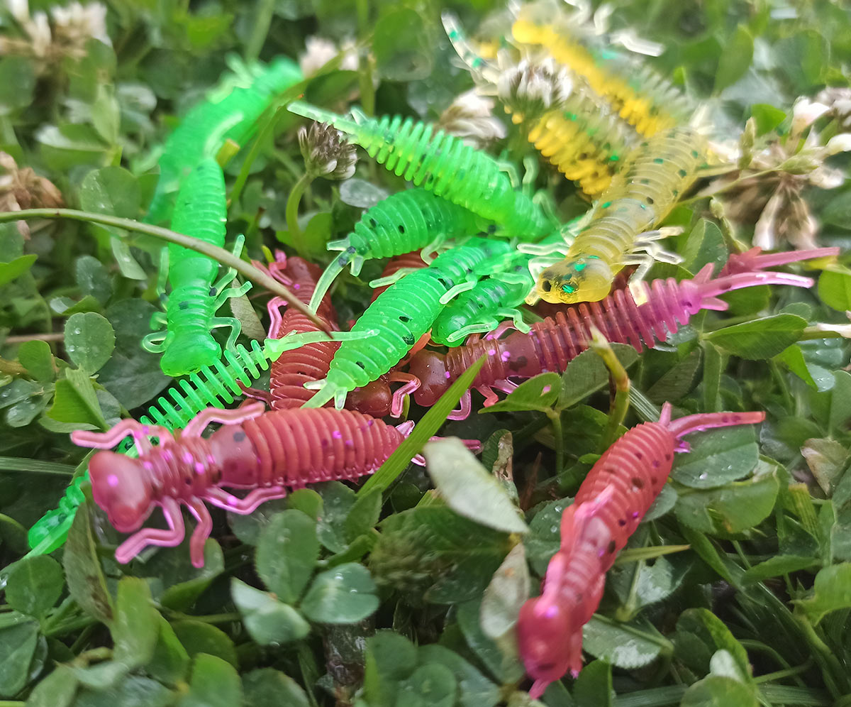 larva 1