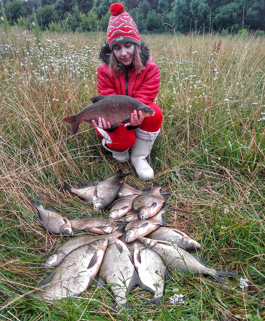 bream 7