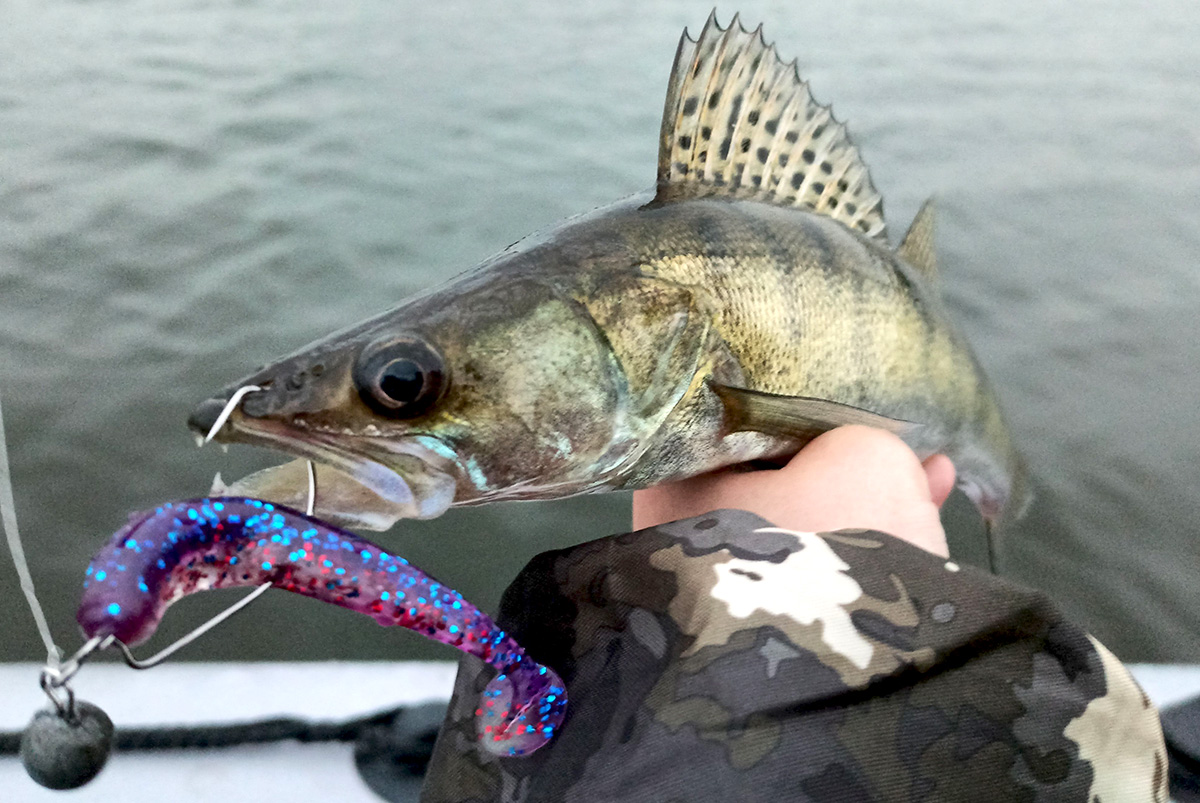 zander 04