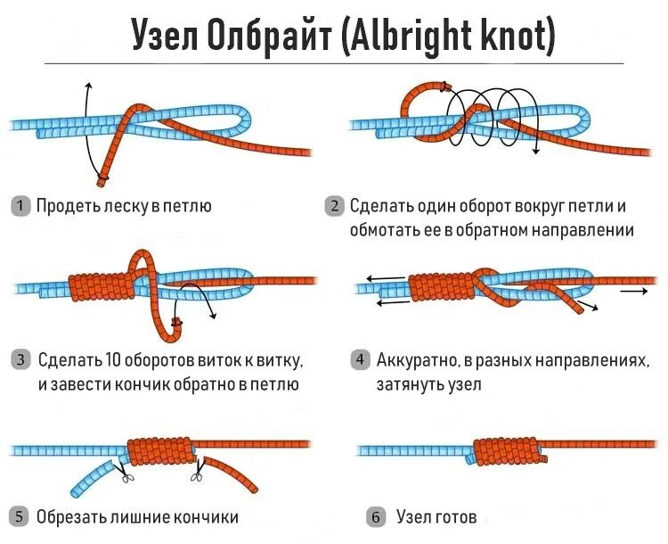 albright