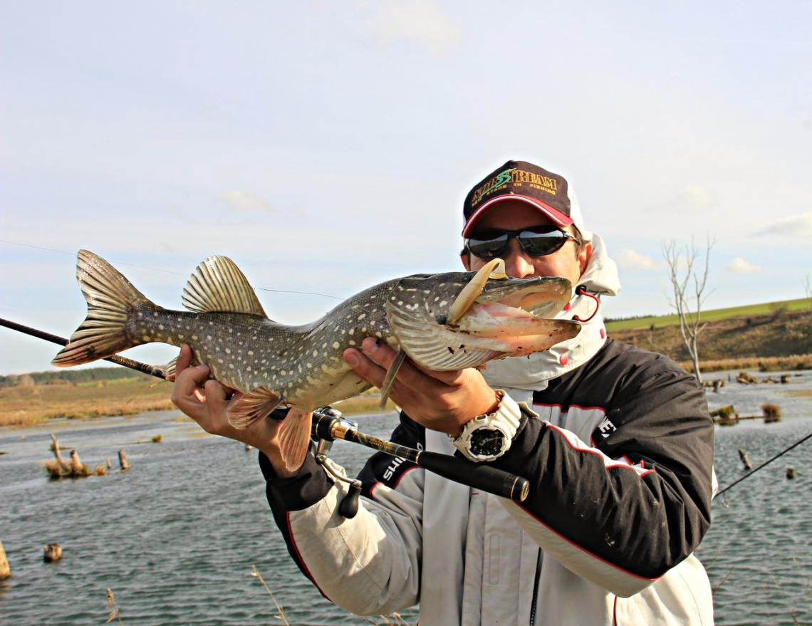 pike fishing in autumn.6