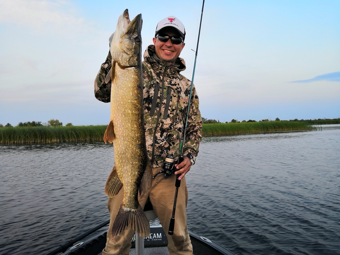 pike12