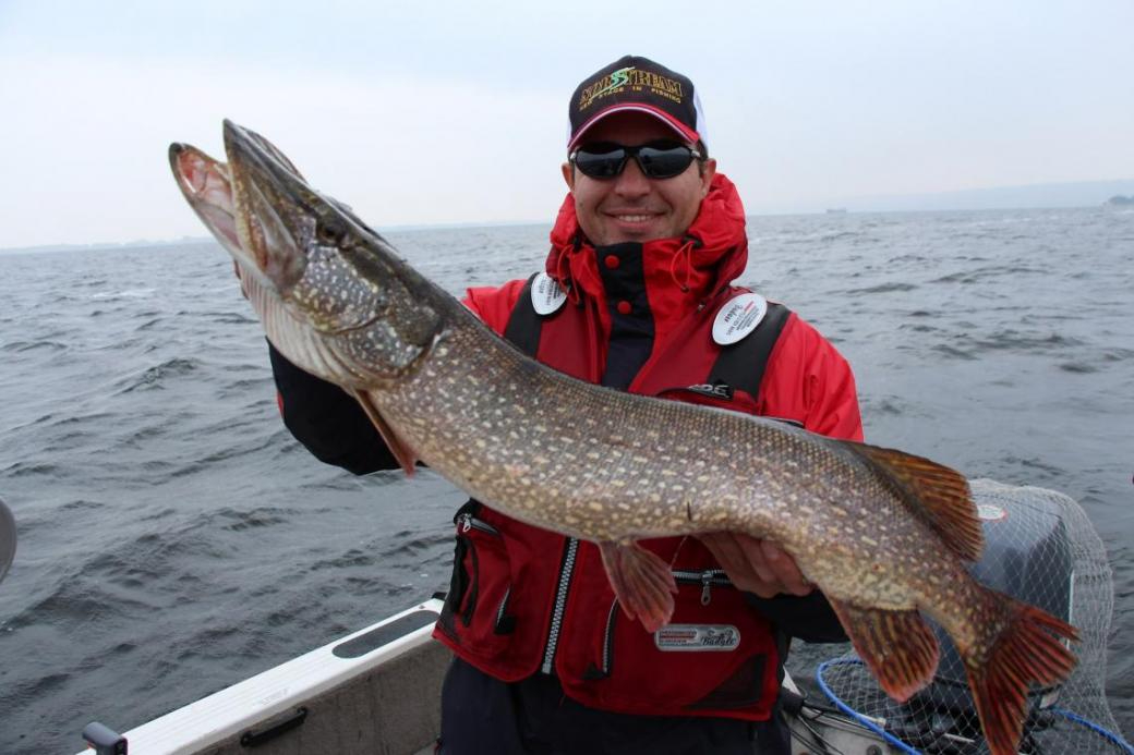 pike2