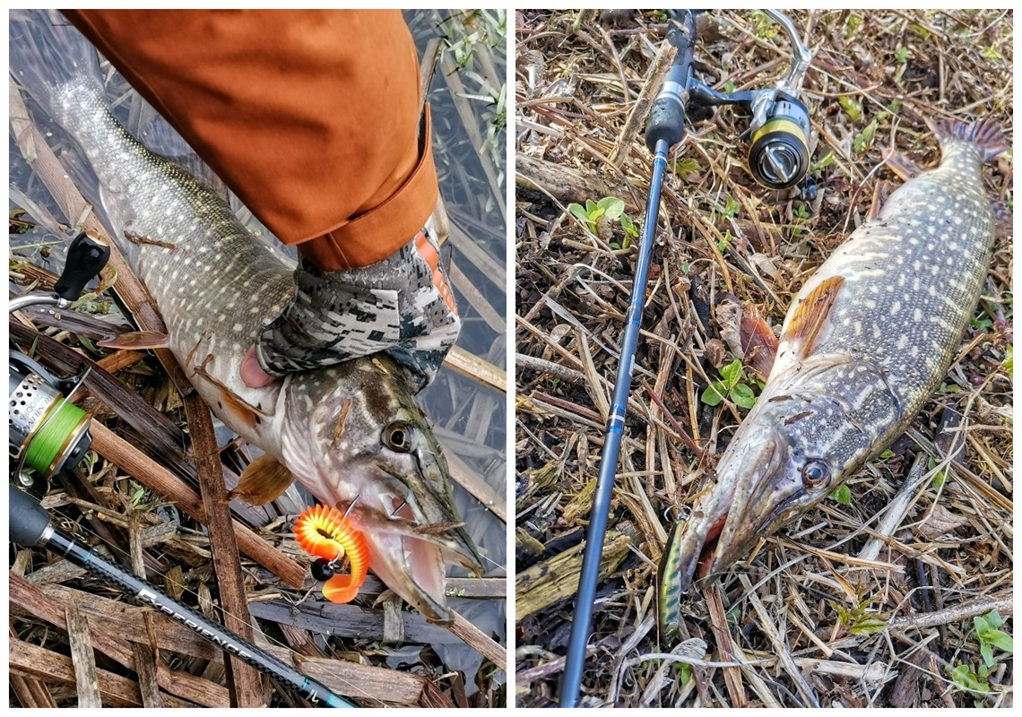 pike 5