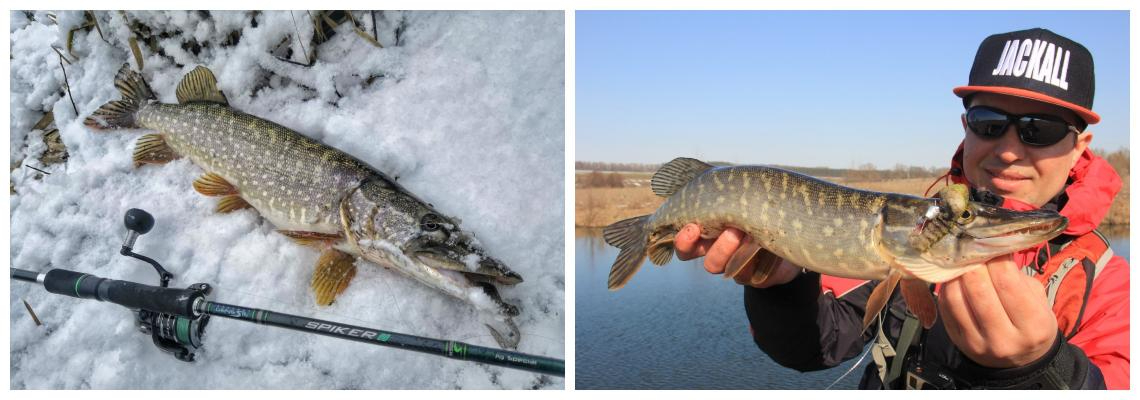 pike 6