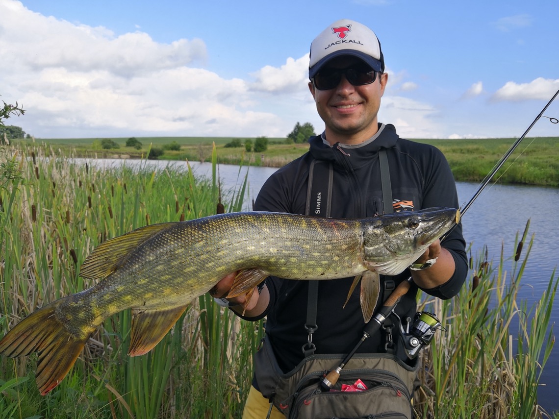 pike 8