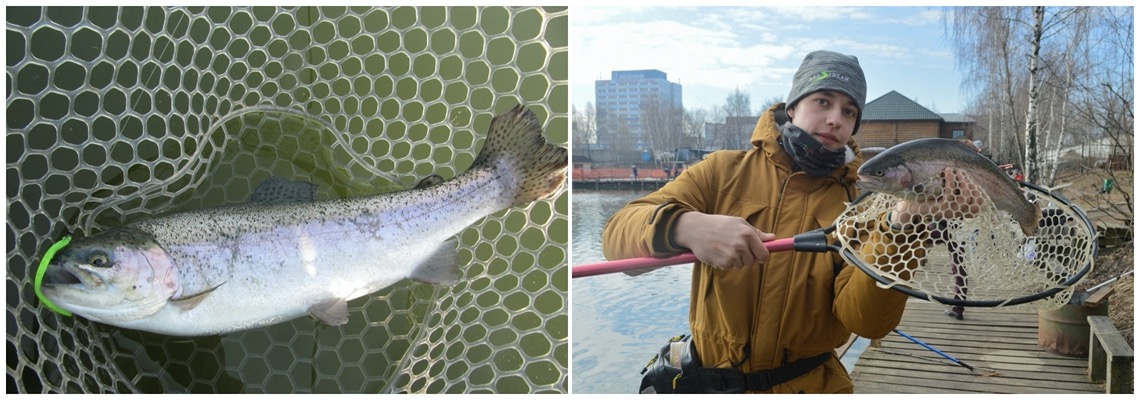 forel