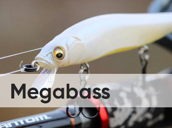 Megabass