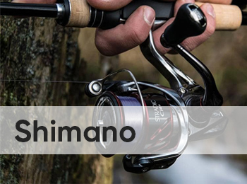 Shimano