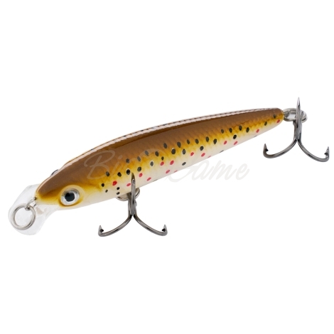 Воблер RAPALA Ultra Light Minnow 6 см код цв. TR фото 1