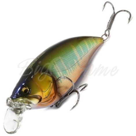Воблер MEGABASS Big-M 2.0 F фото 1