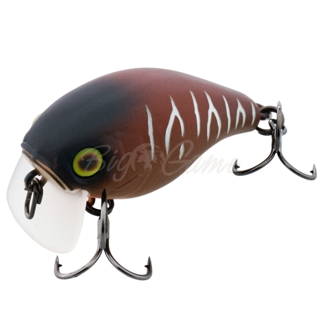 Воблер JACKALL Chubby 38F SSR цв. bug tiger фото 1