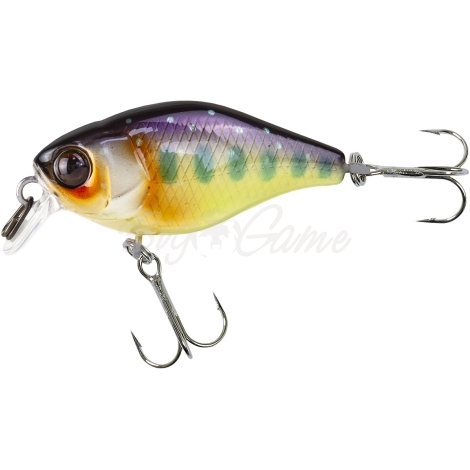 Воблер JACKALL Chubby 38 Silent цв. iwana фото 2