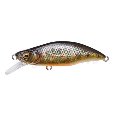 Воблер MEGABASS GH Humpback 64FS цв. Takumi Iwana фото 1
