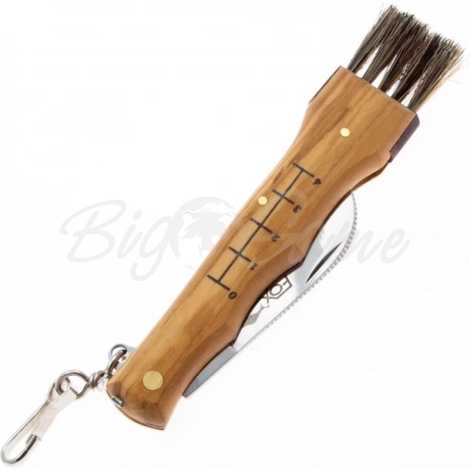 Нож складной полуавтоматический FOX KNIVES Mushrooms Knife сталь 420C рукоять Дерево цв. Коричневый фото 2