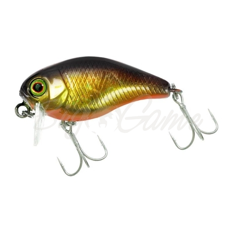 Воблер JACKALL Chubby 38F SSR цв. hl gold & black фото 2