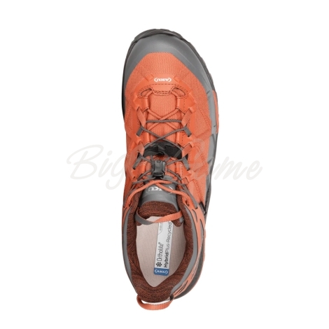 Кроссовки треккинговые AKU Rocket DFS GTX цвет Rust / Anthracite фото 2