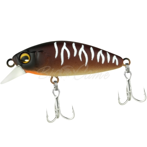 Воблер JACKALL Abbey Minnow 38SF цв. bug tiger фото 2