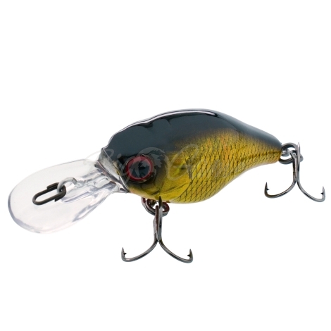 Воблер JACKALL Chubby 38 MR цв. hl gold & black фото 1