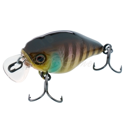 Воблер JACKALL Chubby 38F цв. noike gill фото 1
