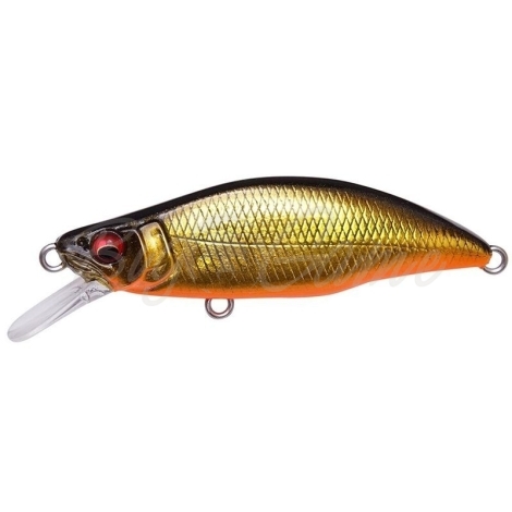 Воблер MEGABASS GH Humpback 64FS цв. M Kinkuro фото 1