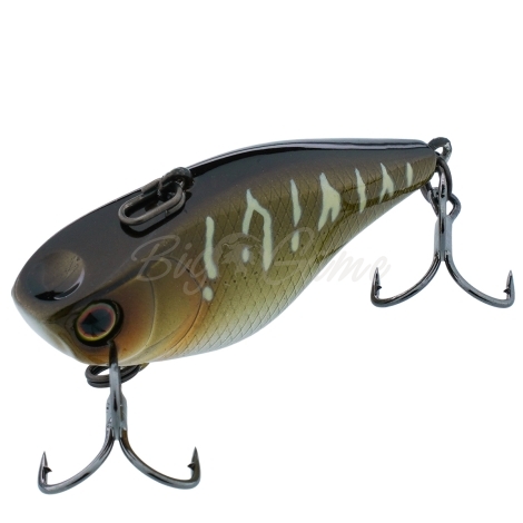 Воблер JACKALL Chubby Vibration цв. tiger pike фото 1