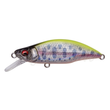Воблер MEGABASS GH Humpback 46FS цв. LZ Chart Back Yamame фото 1