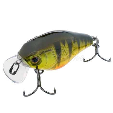 Воблер JACKALL Chubby 41 Silent цв. ghost g perch фото 1