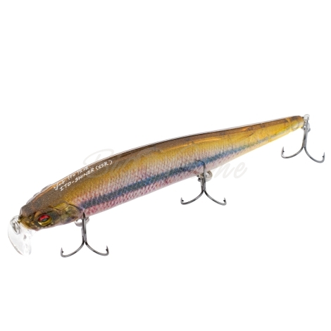 Воблер MEGABASS Ito Shiner 115SP цв. SSR Fa Ghost Kawamutsu фото 1