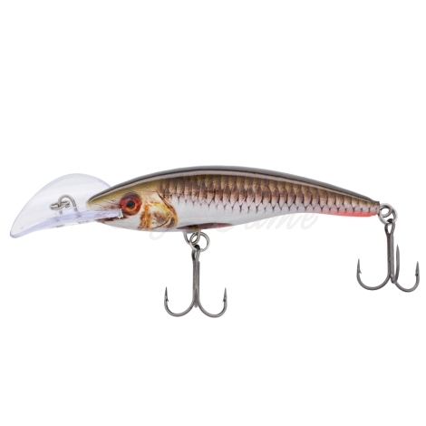 Воблер RAPALA Scatter Rap Tail Dancer 90F код цв. ROHL фото 2
