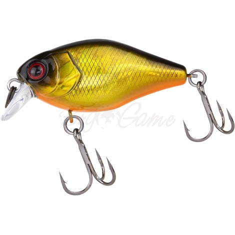 Воблер JACKALL Chubby 41F цв. hl gold & black фото 2