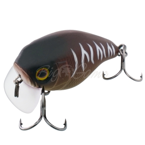 Воблер JACKALL Chubby 41F SSR Silent цв. bug tiger фото 1
