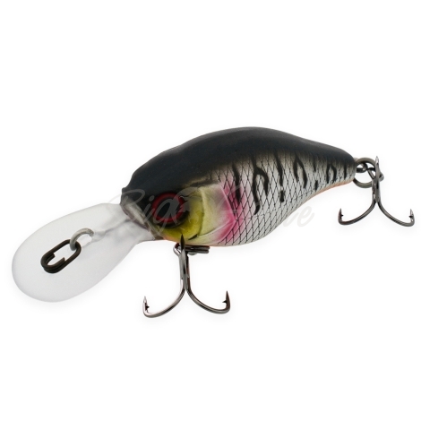 Воблер JACKALL Chubby 38 MR цв. uv mat silver tiger фото 1
