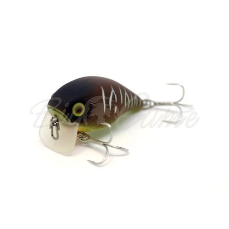 Воблер JACKALL Chubby 38F SSR цв. bug tiger фото 2
