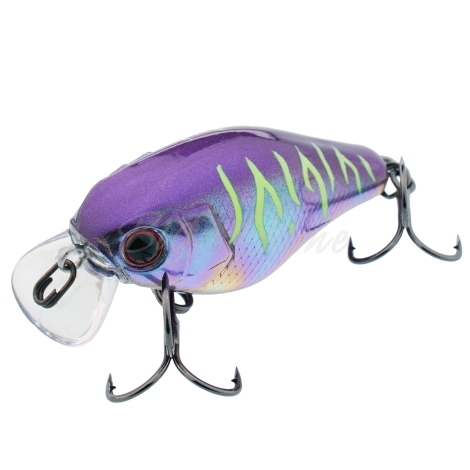Воблер JACKALL Chubby 41 Silent цв. uv ul tamamushi tiger фото 1