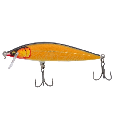 Воблер RAPALA CountDown Elite 95S код цв. GDGS фото 2
