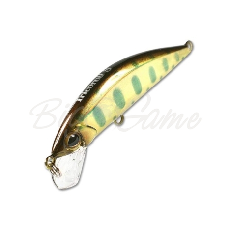 Воблер JACKALL TIMON Tricoroll 67S цв. gold yamame фото 2