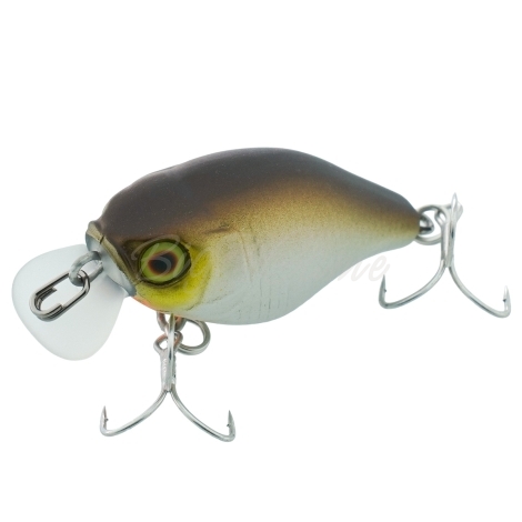 Воблер JACKALL Chubby 38F цв. hl mat roach фото 1