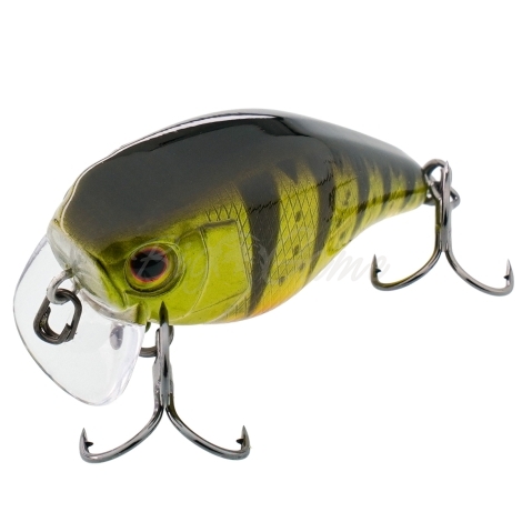 Воблер JACKALL Chubby 41F SSR Silent цв. ghost g perch фото 1
