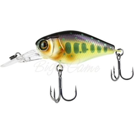 Воблер JACKALL Chubby 41 MR цв. iwana фото 2