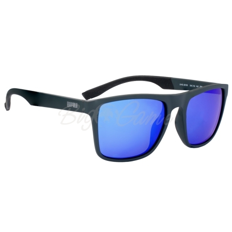Очки RAPALA Urban 301B цв. Черный цв. ст. Синий фото 1