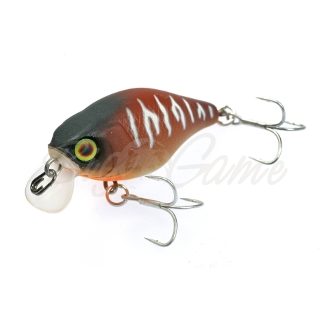 Воблер JACKALL Chubby 38F цв. bug tiger фото 2