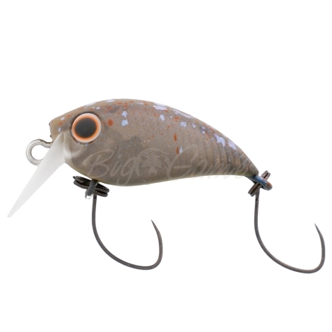Воблер DAIWA Presso Wabcra Jr. 25SS SR цв. Splash Olive Pearl фото 2