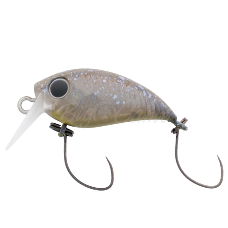 Воблер DAIWA Presso Wabcra Jr. 25F SR цв. Splash Olive Pearl фото 2