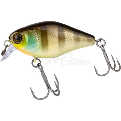 Воблер JACKALL Chubby 41 Silent цв. noike gill фото 2