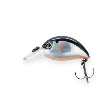 Воблер ZIP BAITS Baby Hickory 25SR код цв. 811 фото 1