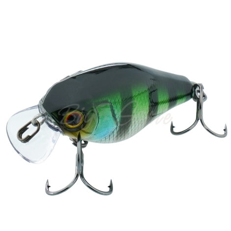 Воблер JACKALL Chubby 41F цв. hl blue gill фото 1